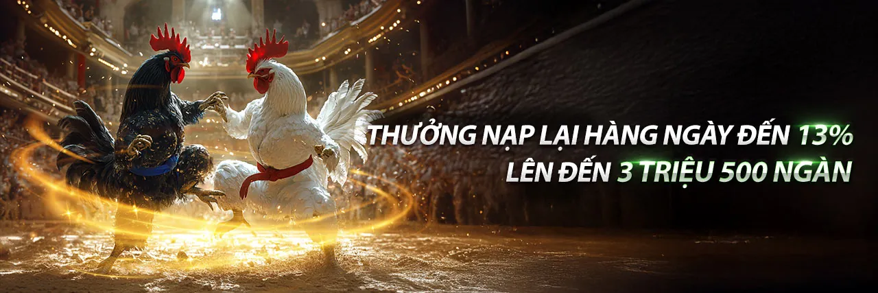 Đá gà trực tuyến OK89 – Tải OK89 ngay để tham gia cá cược đỉnh cao